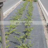 110g/m2 PP Woven Fabrics With UV Stabilizer, Weed Mat, Weed Control Mat,large Plastic Weed Mat / Ground Cover