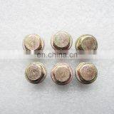 Trade Assurance Metal 6CT 3924147 Oil Pan Drain Plug for Truck