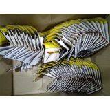 Shenzhen Meideal Leather Industrial Co.,LTD company overview - view 3 thumbnail