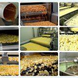 How Does Automatic Continuous Snack Fryer Work? thumbnail-2