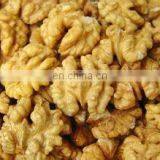 High Efficiency Stainless Walnut /pecan /almond Sheller Machine thumbnail-4