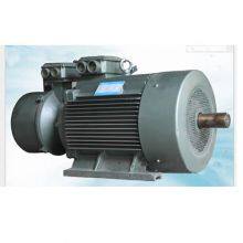 Hot Selling Slip Ring Motor thumbnail-2