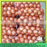 10kg Mesh Bag Fresh Yellow Onion thumbnail-1