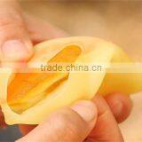 Hot Sale Creative Folding Rubber Squeezer