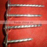 2"x9bwg Galvanized Roofing Nails With Umbrella Head thumbnail-5