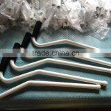 Quad Canes thumbnail-3