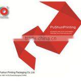 Shanghai Pushun Printing Packaging Co., Ltd. company overview - view 1 thumbnail