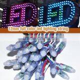 IP68 Outdoor 12mm WS2811/WS2801/UCS1903 Led Pixel Light