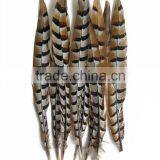 ZPDECOR Wholesale Top Selling Raw 45-50cm Size Reeves Venery Pheasant Tail Feathers for Decorations thumbnail-2