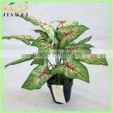 Artificial Red Taro Plant