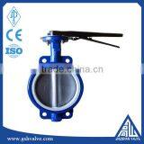 6 Inch PTFE Lined Butterfly Valve thumbnail-1