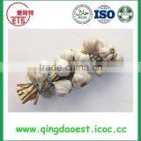 Fresh White Garlic Size :4.5-6.0 cm thumbnail-6