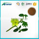 GMP standard factory product Tribulus Terrestris extract free sample 2015