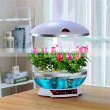 Fish Tank Buy thumbnail-2