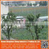 wholesale hdpe plant support anti bird green net , nylon greenhouse anti bird trap mist net , plastic fruit bird protection net