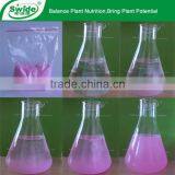 Npk Pitaya Fertilizer