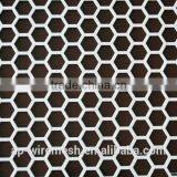 the Best Seller Decorative Perforated Metal Mesh/the Perforated Metal Sheet for Decoration