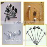 Common Wire Nail Iron Nail All Sizes Factory Price