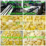 Small Scale 2d 3d Snacks Pellets Food Machine Food Process Equipment thumbnail-1