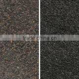 High Quality CCD Camera Seed Color Sorting With LED Light thumbnail-2