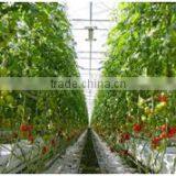 Vertical Greenhouse Growing System thumbnail-4