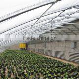 Agricultural Greenhouses thumbnail-3