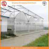 Agriculture Equipment Multi-span 6.0m PO Film Greenhouse for Sale thumbnail-1