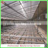 Low Cost China Manufacturer Multi-span Greenhouses With Hot-dip Galvanized Steel Frame thumbnail-5