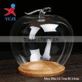 Decoration Hand Made Clear Glass Big Apple Domes