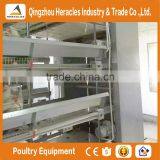 Hercles Trade Assurance Poultry Equipment Layer Egg Chicken Cage/poultry Farm House Design thumbnail-6