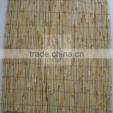 Bamboo Fence thumbnail-4