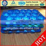 FDA Approval Vacuum Formed Blister Packaging 29x49cm Alveolus PP Tray For Fresh Fruits thumbnail-2