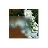 Acid Etched Glass--shooting Star thumbnail-1