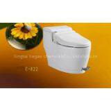 Foot Stepping Toilet thumbnail-2