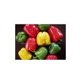 OFFER:frozen multicolor peppers
