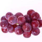 Natural Fruit Powder Extract Grape Seed Extra thumbnail-2