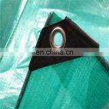 Green color PE Coated Pattern and Other Fabric Product Type tarpaulin