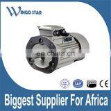 AC Electric Fireplace Asynchronous Motor thumbnail-4