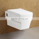 Fashionable Style Wash Down Water Closet ATW006