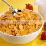 Corn Flakes Manufacturing Plant thumbnail-3