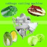 Cabbage Half Cutting Machine