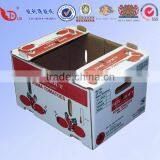 Anhui Factory Apple Fruit Packaging Boxes thumbnail-5