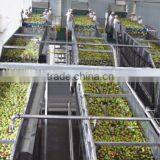 7 Tons Tomato Jam Production Line