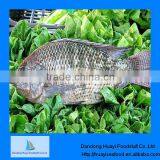 The Competitve Best Frozen Tilapia thumbnail-1