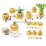 New Design Gifts for Dentists DIY Mini Bonsai Business Anniversary Gifts , Christian Wedding Gifts thumbnail-1