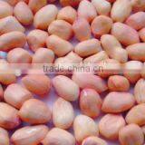 China Peanut Kernels Baisha With Best Price