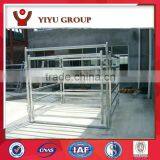 Hot Sale Steel Live Sheep Stock thumbnail-1