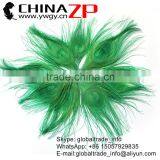 Leading Supplier CHINAZP Wholesale High Quality Dyed Green Trimmed Short Peacock Feathers for Earrings thumbnail-1