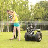 Cheap 2 Wheeled Electric Car