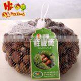 Sweet Fresh Chestnut in Shell Wholesale Chestnut thumbnail-5